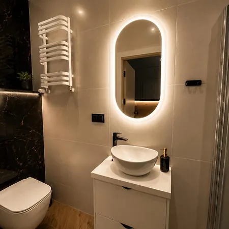 Velvet Loft Nikiszowiec Апартаменты *